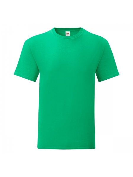 t-shirt-iconic-fruit-of-the-loom-kelly green.jpg